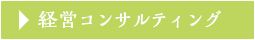 経営コンサルティング